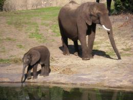 Mother and Daughter